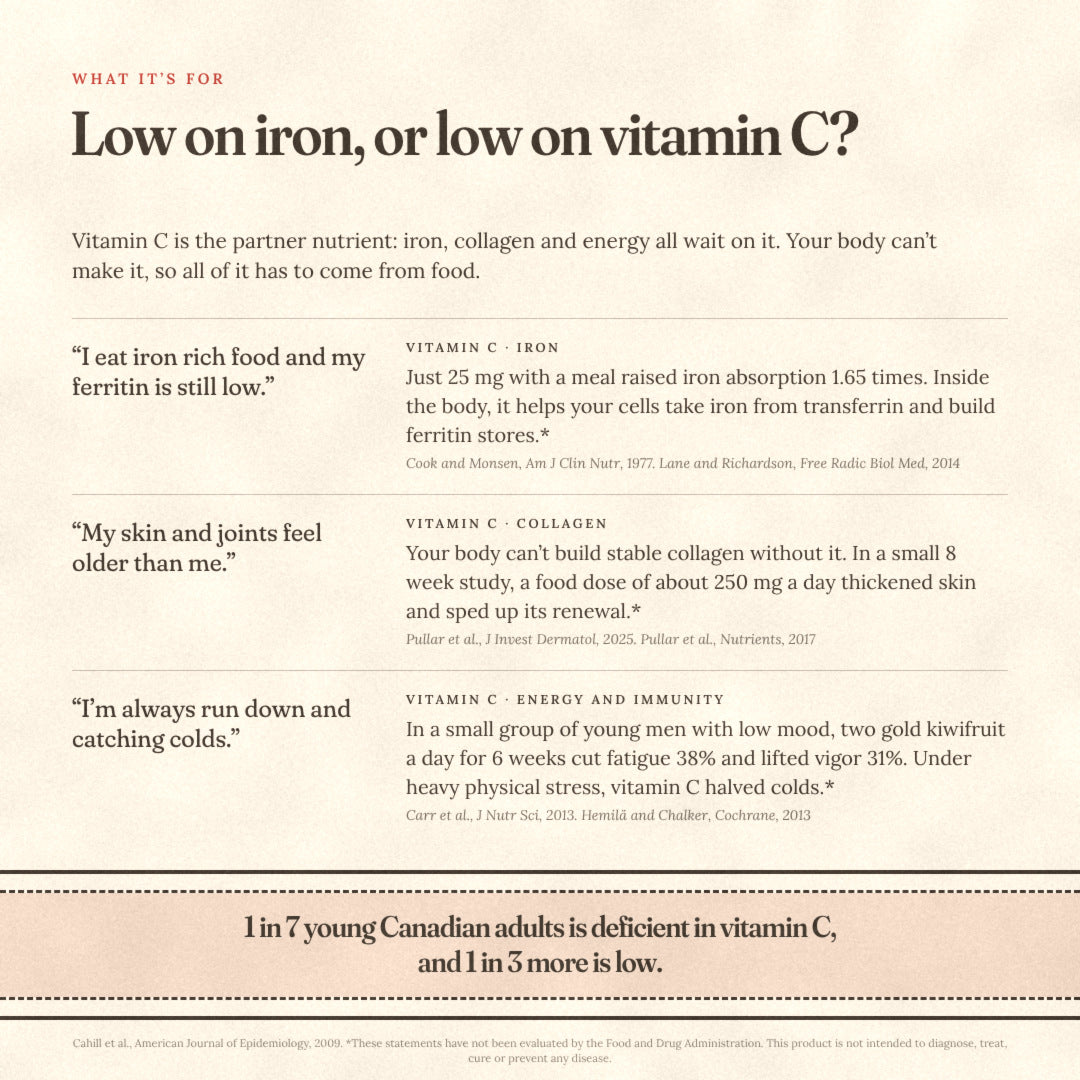 Low on iron, or low on vitamin C? What vitamin C does for iron, collagen, energy and immunity, with the studies behind them