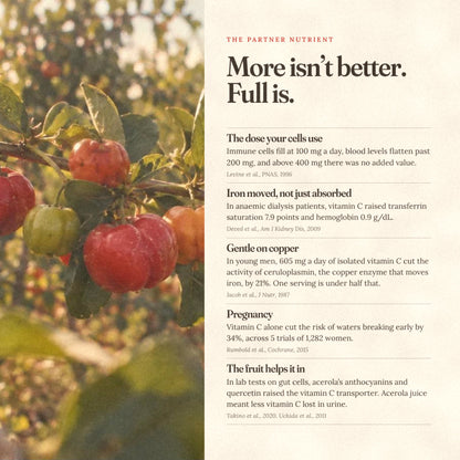 The partner nutrient: why more vitamin C isn’t better